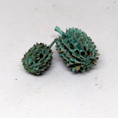 Casuarina - aqua