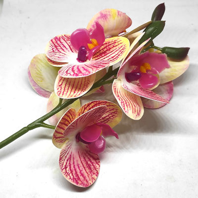 Orchidea szál - gumi - körben virágos 3. pink csíkos