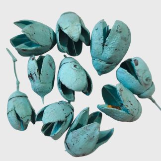 Bakuli - türkiz