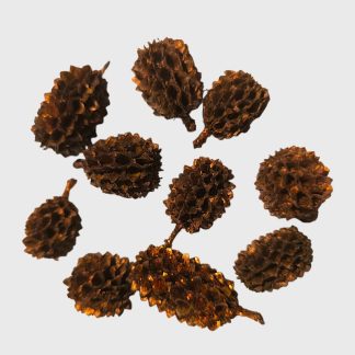 Casuarina - réz-bronz